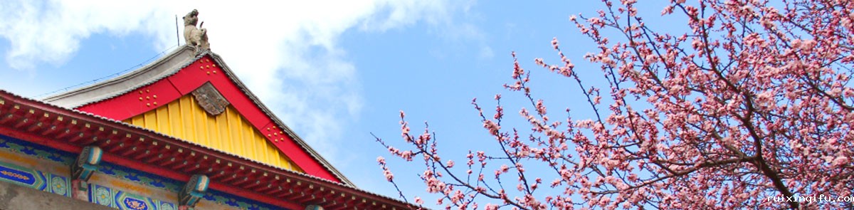 欢迎访问星空彩票网络平台信息公开...